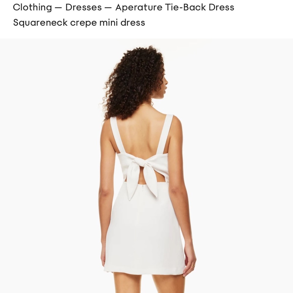 Aritzia - Wilfred Aperature Tie-Back Dress
